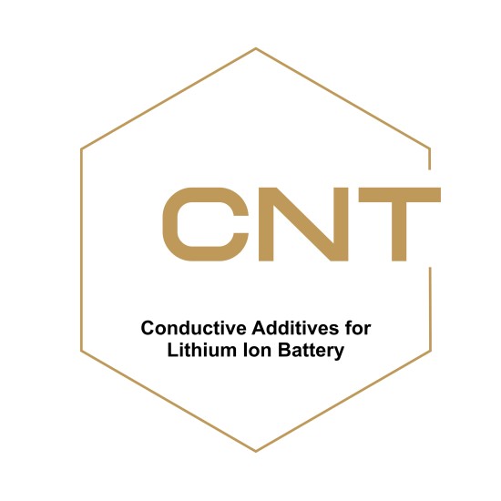 Carbon Nanotubes-based Conductive Additives for Lithium Ion Battery--