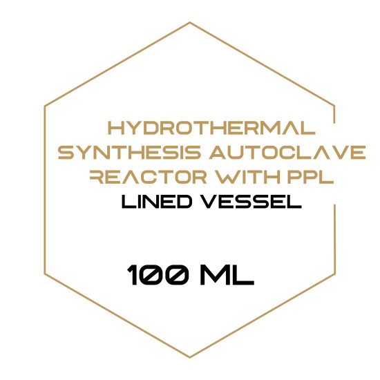 Hydrothermal Synthesis Autoclave Reactor with PPL Lined Vessel 100 ml-Equipment-
