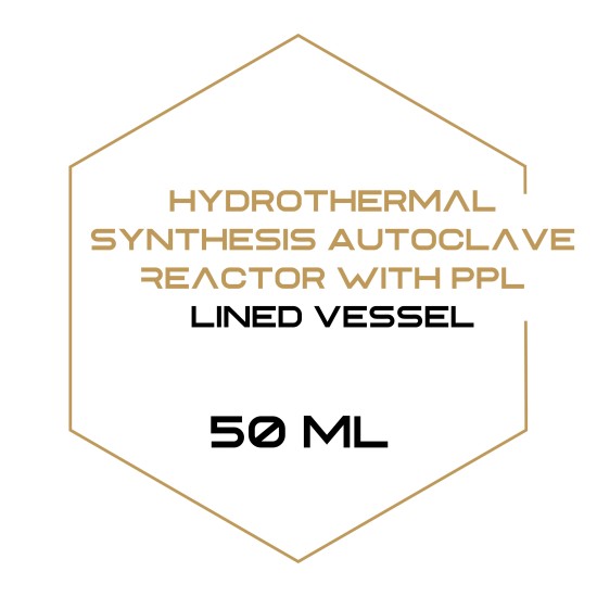 Hydrothermal Synthesis Autoclave Reactor with PPL Lined Vessel 50 ml-Equipment-