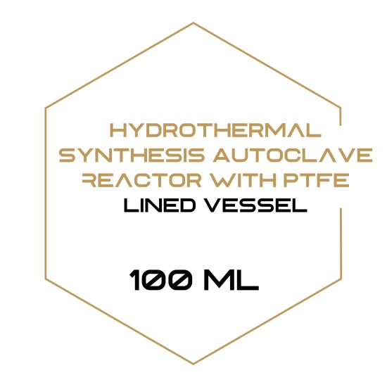 Hydrothermal Synthesis Autoclave Reactor with PTFE Lined Vessel 100 ml-Equipment-